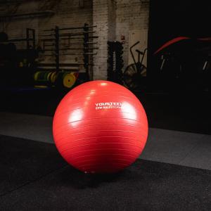 Купить Гимнастический мяч Yousteel Hard 55см в Дорогобуже 